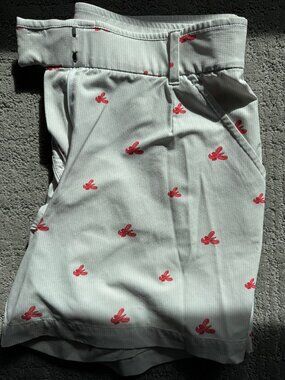 Nike DryFit golf shorts